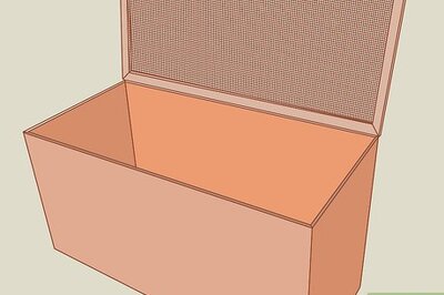 How to Take Care of Ducklings