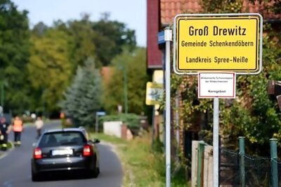 Pig Pandemic Adds To German Pork Sector Pain As Exports Banned