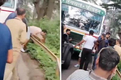 Shocking Video: Brawl Between Tourists In Shimla Takes Tragic Turn As Man Falls Off Cliff