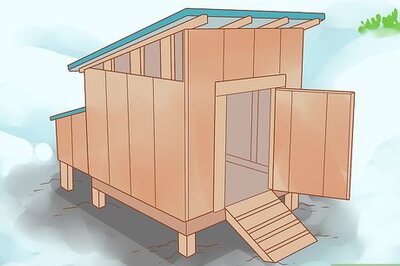 How To Keep Ducks Safe In Cold Weather