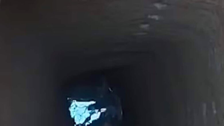55-year-old Karnataka Woman Digs 45-foot-deep Well To Give Water To Anganwadi Kids