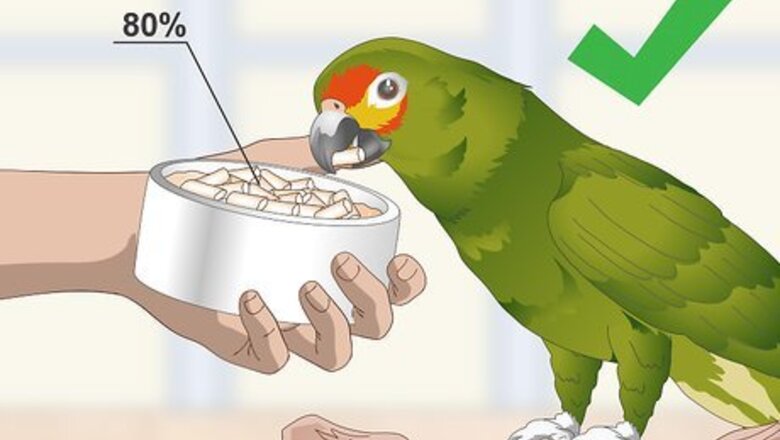 How to Feed an Amazon Parrot