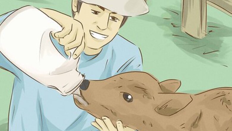 How to Find Who You Truly Are, Inside and Out
