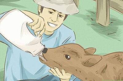 How to Find Who You Truly Are, Inside and Out