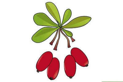 How to Dry Goji Berries