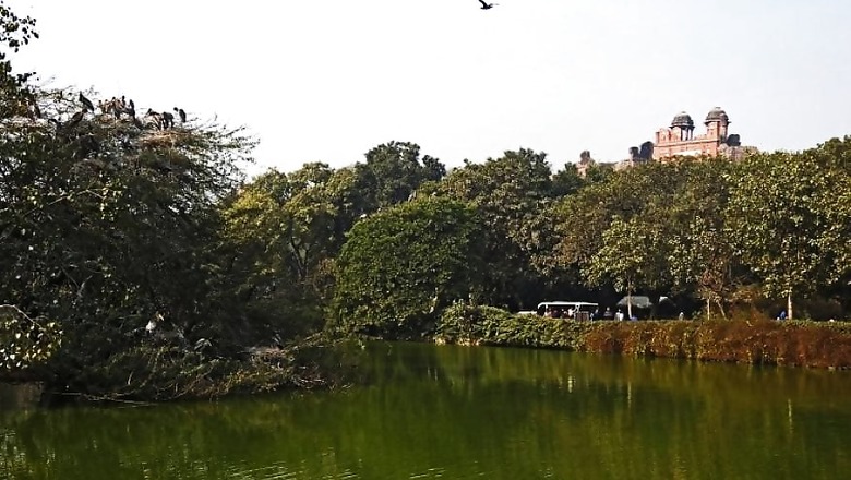 To be Among Top 10 in World, Delhi Zoo Plans Virtual Reality and Mobile App
