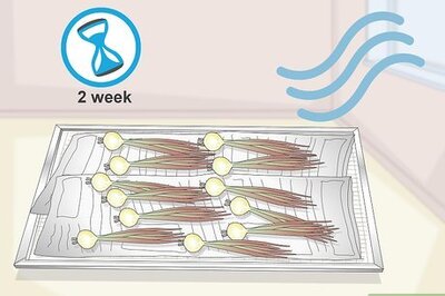 How to Store Garden Onions