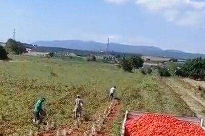 'Rajinikanth Style': Man Flings Baskets of Tomatoes into Truck Without Spilling