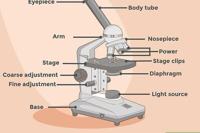 How to Use a Microscope