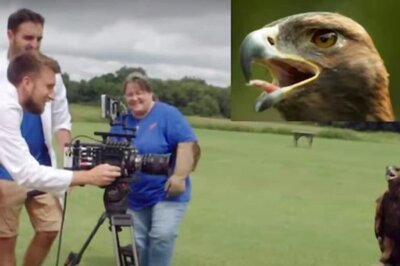 Viral Video Captures How Eagles Blink Their Eyes