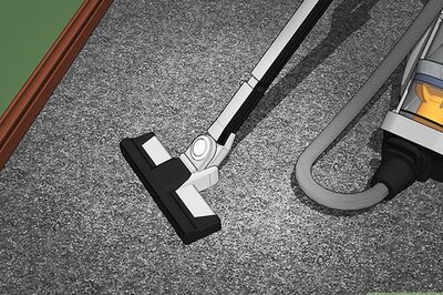 How to Prevent Carpet Beetles