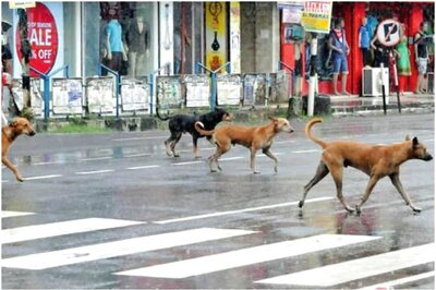 On CCTV, Retired Bengaluru Cop Runs Over Sleeping Stray Dog
