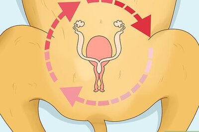 How to Tell if Your Dog Is in Heat