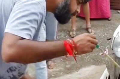 WATCH: Man Catches Giant Snake Hidden Inside Scooter Using His Bare Hands