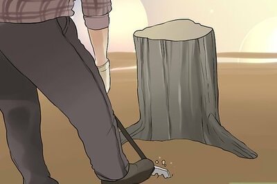 How to Dry Wet Dirt in a Garden or Lawn