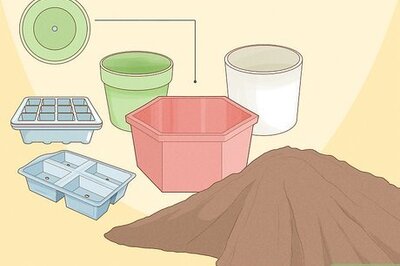 How to Plant a Seed in a Pot