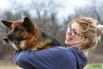 How to Make a Dog Love You