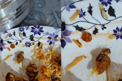 Hyderabad Resident Finds Dead Cockroach in Biryani Ordered on Zomato, Reddit Reacts