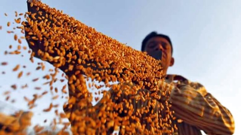 Haryana seeks 70,000 tonne wheat for Food Security Ordinance