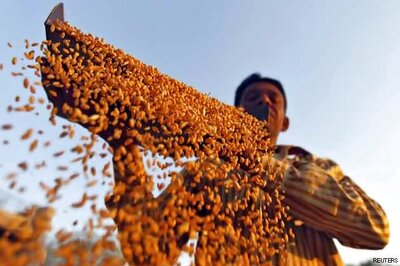 Haryana seeks 70,000 tonne wheat for Food Security Ordinance