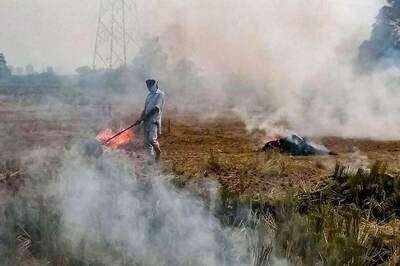 Stubble Burning up 44.5% in Punjab, 25% Down in Haryana, Centre Tells SC