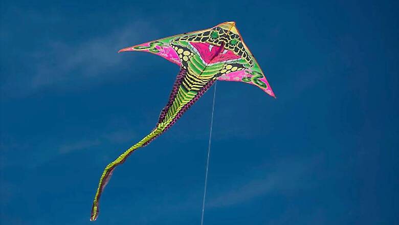NGT Imposes Complete Ban on Nylon And Synthetic Manja
